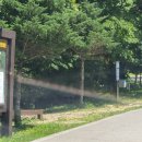 강원오토 이미지