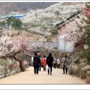 광영농장 이미지