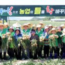 영천시 지역특화 임대형 스마트팜 조성사업 온실설치공사 | 경북 "농업대전환"으로 대한민국의 농정혁신 견인!