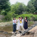 돌고개늘품 이미지