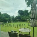 스테이비갠오후 이미지