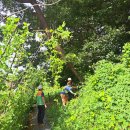 삼죽축구장 이미지