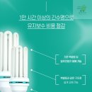 장수마켓