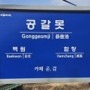 카페곧;감 이미지