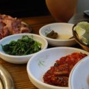 초원갈매기 이미지