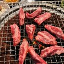 멍텅구리꼼장어 이미지