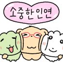 중랑차동물병원 네이버블로그