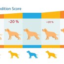 우리 강아지 이미지