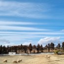 혜영목장 이미지