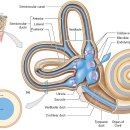 성진한의원 이미지