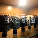 소강한의원 이미지