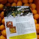 월천농장 이미지