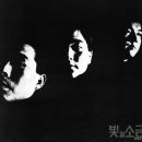 샴푸의요정 - 동구 중앙로196번길 31-3 | 샴푸의요정