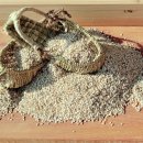 송암농장(1) 이미지