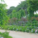 공주포차 이미지