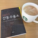 양재사랑약국 | [34-36주] 뷔페는 이제 그만, 소화능력 방전🥲 정말 배가 꽈악 차버린 임산부(갈비뼈, 허리통증, 배튼살...