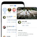 도도파파 이미지