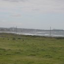 법도목장 이미지