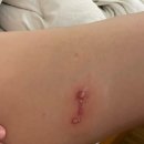 다영약국 | [🇹🇭태국 #4] 1년 만에 태국