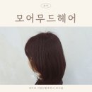 무드모어 | 아라역 미용실 모어무드헤어 단발 전체 염색 후기
