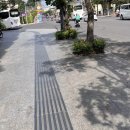 해성커피숍 | 나트랑 반미판 위치 메뉴 추천 (feat. 4일차)