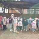 창릉어린이집 이미지