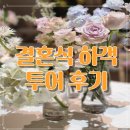 안젤로가든