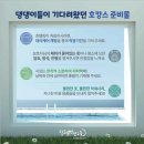 털로덮인 친구들 커먼그라운드점 이미지