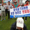 한중식품2