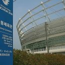 코리아태권도 체육관 이미지