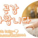 추카포카케이크 이미지