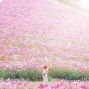 운칠기삼 이미지