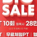 고 베어 짐 이미지