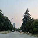 플러스유학원