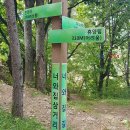 민주지산 자연휴양림
