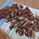 감영 PC | 300일 기념 전주 여행기(1일차)🧳〰️