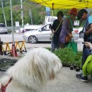 길나들이민박 이미지