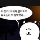 ☆669.버블시스터즈 이미지