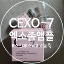 끌레지오 | 고농축 스킨부스터 바르는 엑소좀앰플 끌레지오 CEXO-7