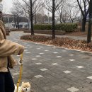 이층커피 네이버블로그