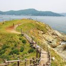 바람의언덕 이미지