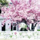 인도네시아 자바 섬의 므라피 화산(2914m) 이미지