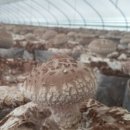 한길농부 농장 이미지