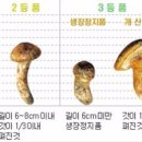 해성유통 이미지