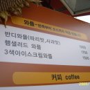 와플나무