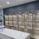 민들레병원 이미지