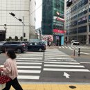 뉴코아아울렛 앞 횡단보도 이미지