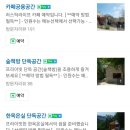 홍천찹쌀꽈배기맛집 이미지