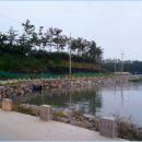 해솔길펜션 이미지