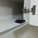 휴센트 이미지